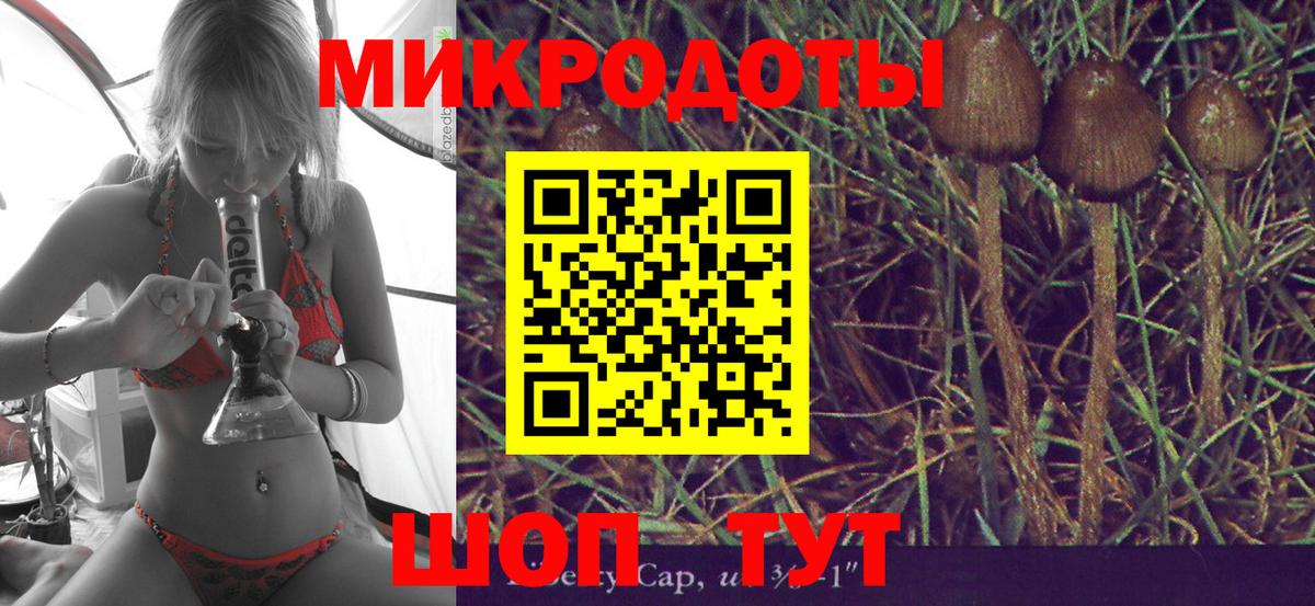 Железногорск  Псилоцибиновые грибы Magic Shrooms  Вход с VPN 